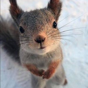 Meet your Posher, Ava